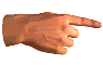 Pointer