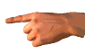 Pointer